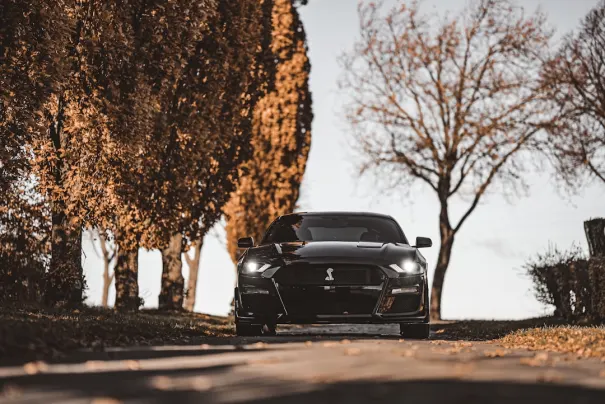 Fbet Kasino Android/iOS aplikace